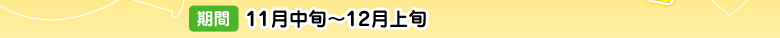 期間 11月中旬～12月中旬