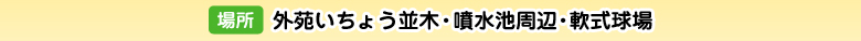 場所 外苑いちょう並木・噴水池周辺・軟式球場