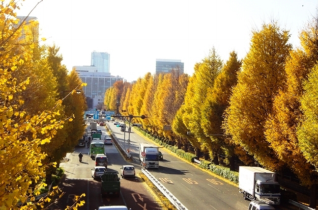 外苑東通り