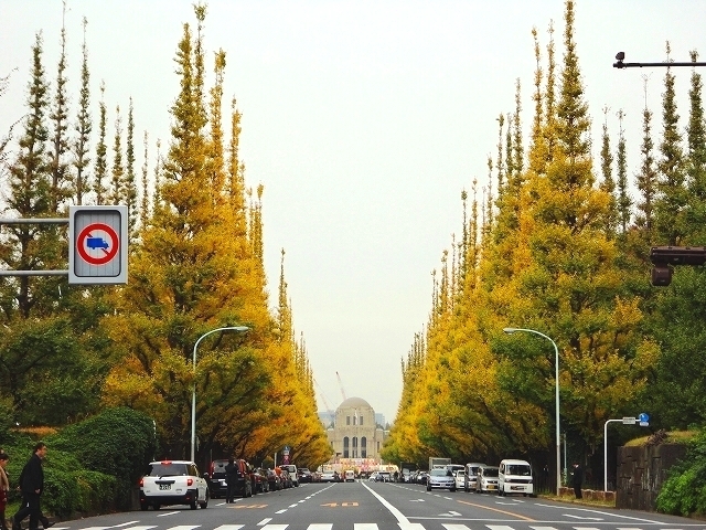 11月29日 撮影