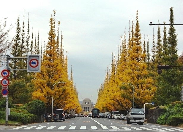 12月6日撮影②