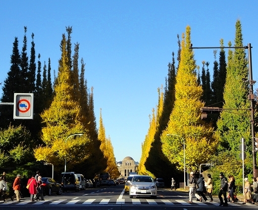 2012年11月27日午後２時頃撮影⑤