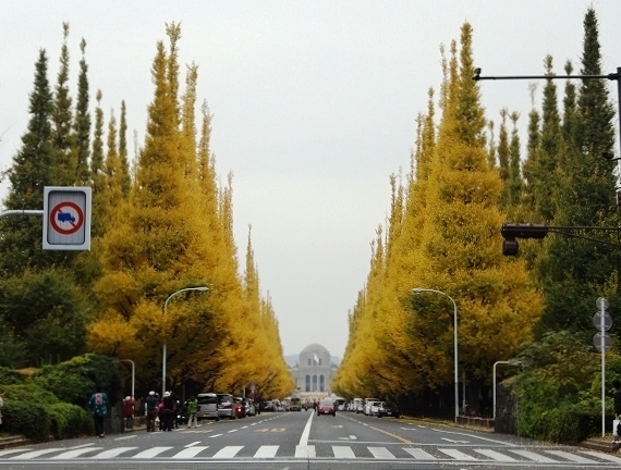 2012年11月30日撮影②