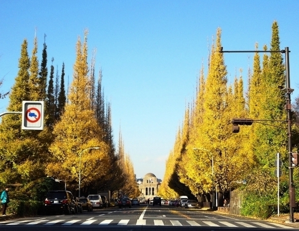 2012年12月6日撮影⑥