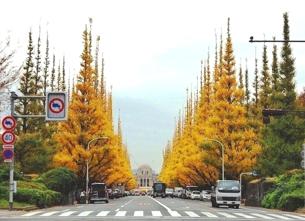 12月6日 撮影