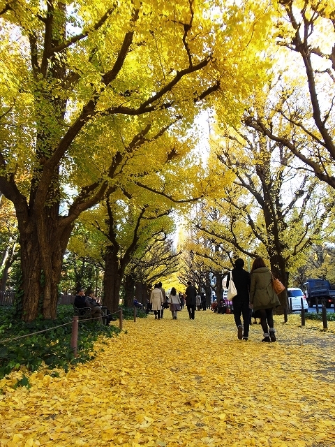 2012年12月6日撮影③