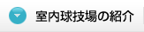 室内球技場の紹介