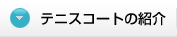 テニスコートの紹介