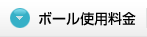 ボール使用料金
