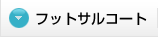 フットサルコート