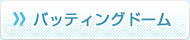 バッティングドーム