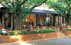 SELAN photo