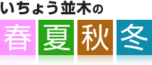 いちょう並木の春夏秋冬